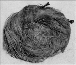 Figure 1: The auburn hair and jet cantharus-headed pins of the Railway Station burial (Allason-Jones 2006, 156)